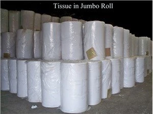 Jumbo Roll Mother Tissue