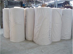Vefmóðir Roll